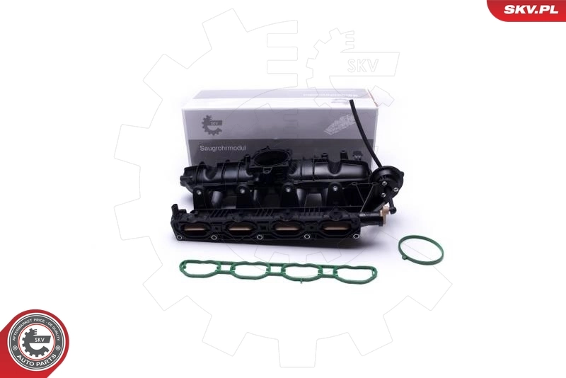 Intake Manifold Module